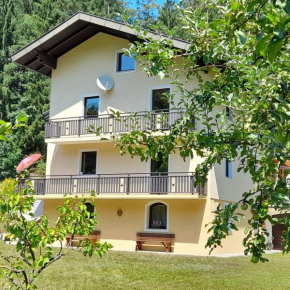 Haus am Schloss Bleiburg